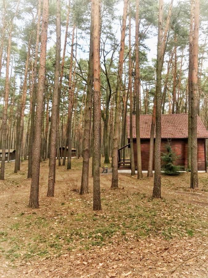 Aura Grotniki Grotniki (Zgierz) Exterior foto