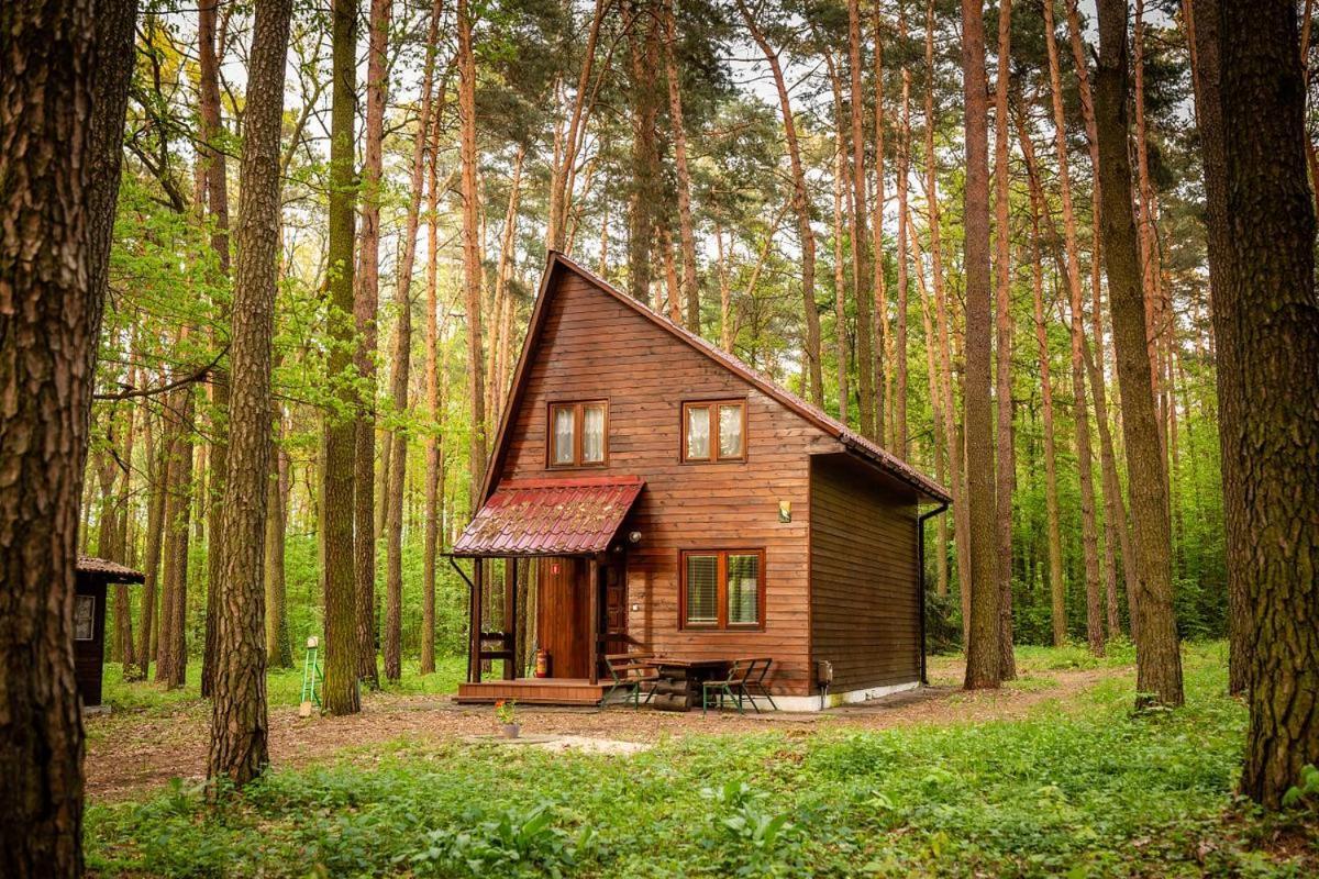 Aura Grotniki Grotniki (Zgierz) Exterior foto